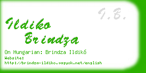 ildiko brindza business card